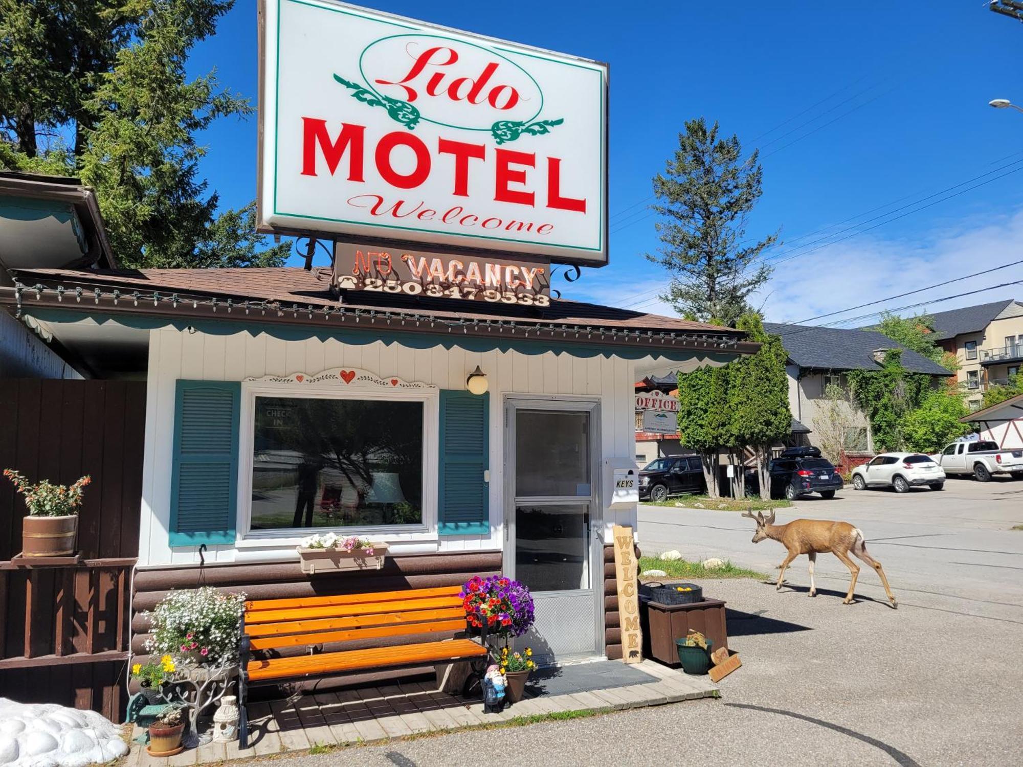Lido Motel Radium Hot Springs Exterior photo