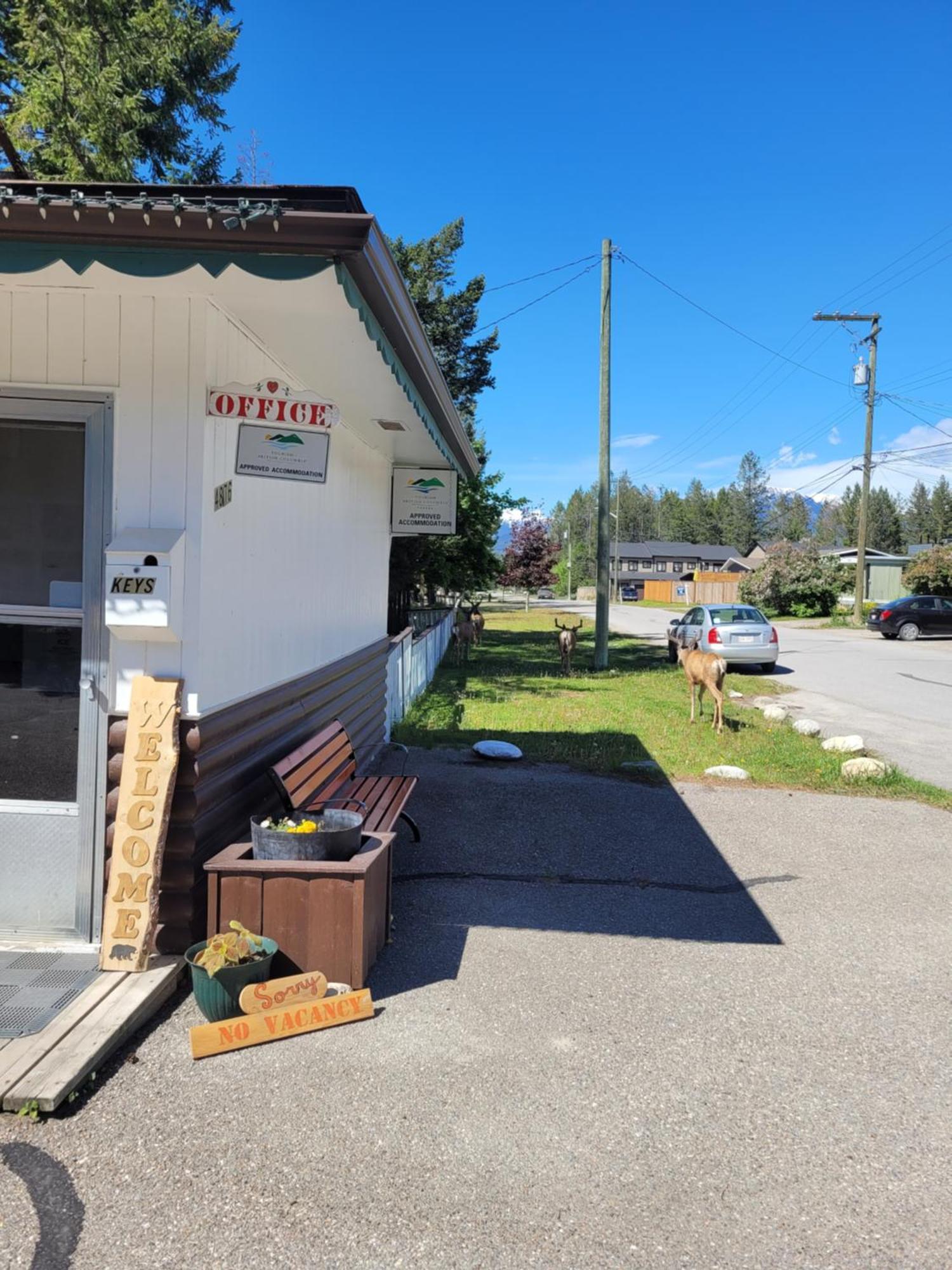 Lido Motel Radium Hot Springs Exterior photo